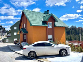 Family Two-bedroom apartment Zabljak